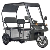 Электротрицикл Wanshida NIPLA 570 60V 1000Вт Серый